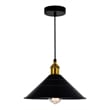 CWI Lighting Brave 1 Light Metal Indoor Mini Pendant in Black
