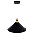 CWI Lighting Brave 1 Light Metal Indoor Mini Pendant in Black