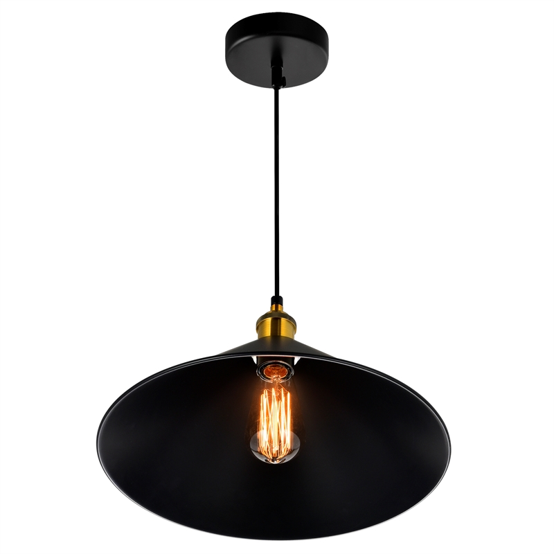 CWI Lighting Brave 1 Light Metal Indoor Mini Pendant in Black
