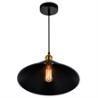CWI Lighting Brave 1 Light Metal Indoor Mini Pendant in Black