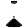 CWI Lighting Brave 1 Light Metal Indoor Mini Pendant in Black