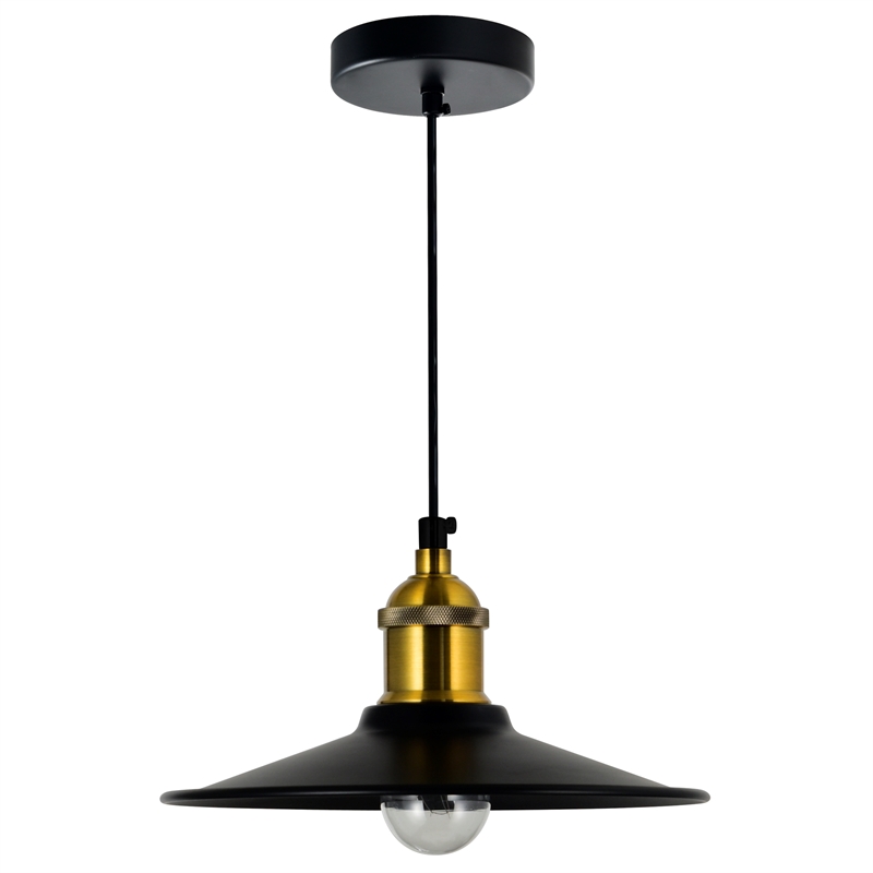 CWI Lighting Brave 1 Light Metal Indoor Mini Pendant in Black