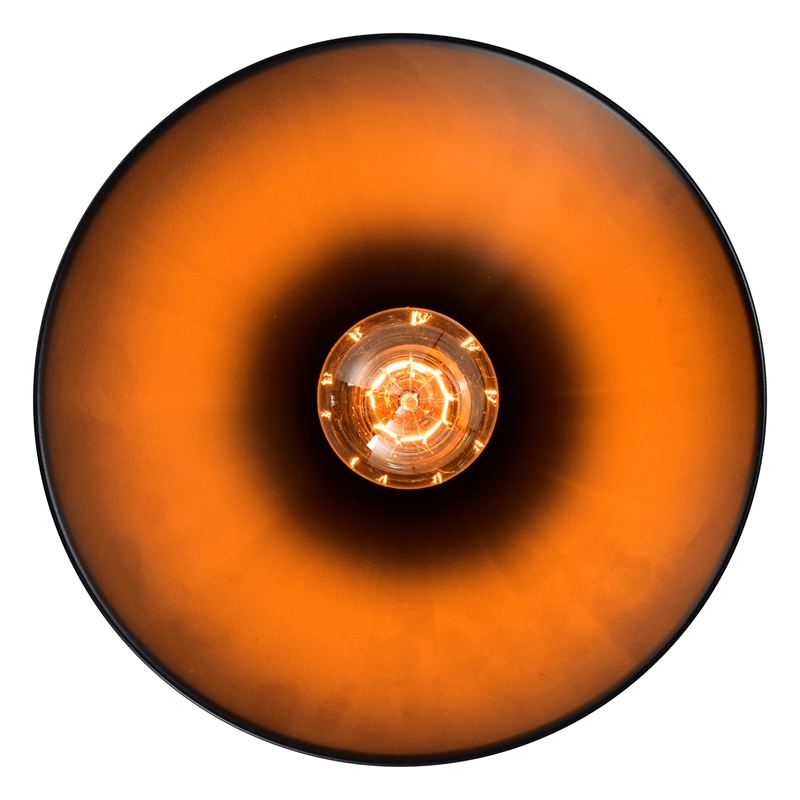 CWI Lighting Brave 1 Light Metal Indoor Mini Pendant in Black