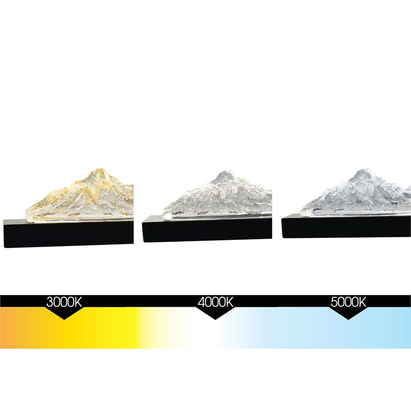 CWI Lighting Himalayas Integrated LED Black Vanity Light