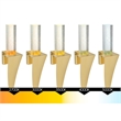 CWI Lighting Catania Integrated LED Satin Gold Wall Light