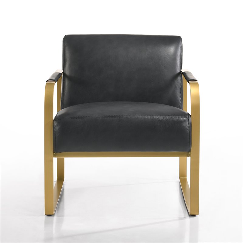 Omax Decor Mason Steel/Genuine Leather Lounge Accent Chair in Black/Gold