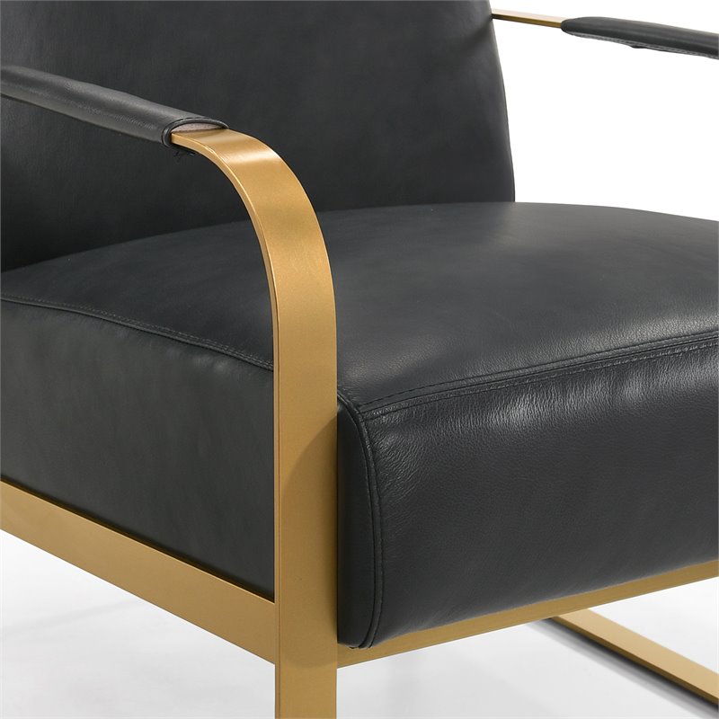 Omax Decor Mason Steel/Genuine Leather Lounge Accent Chair in Black/Gold