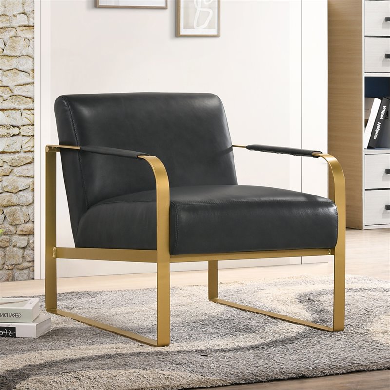 Omax Decor Mason Steel/Genuine Leather Lounge Accent Chair in Black/Gold