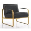 Omax Decor Mason Steel/Genuine Leather Lounge Accent Chair in Black/Gold
