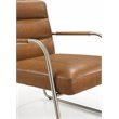 Omax Decor Spencer Stainless Steel/Leather Lounge Accent Chair in Caramel