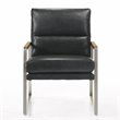 Omax Decor Colin Stainless Steel & Genuine Leather Accent Chair in Black