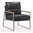 Omax Decor Colin Stainless Steel & Genuine Leather Accent Chair in Black