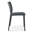 Omax Decor Cleo Resin Patio Dining Chair in Anthracite Black - (Set of 2)