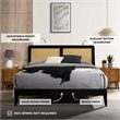 Omax Decor Liam Wooden Queen size Platform Bed with Rattan Headboard in Black