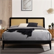 Omax Decor Liam Wooden Queen size Platform Bed with Rattan Headboard in Black