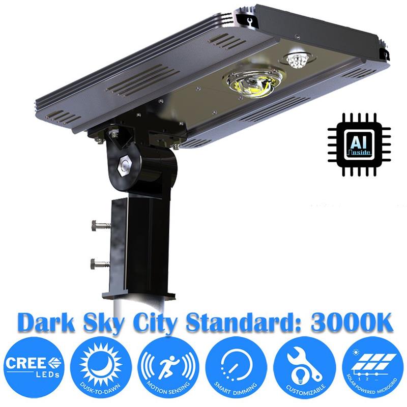 eLEDing 3000K 10W 5th Gen Solar Hybrid Microgrid LED Street Light in Silver