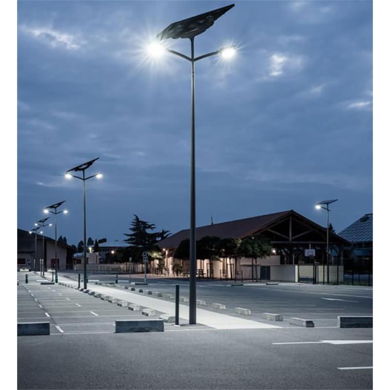eLEDing 50W Solar Panel and 30W Cobra Head Light Solar Power SMART in Silver