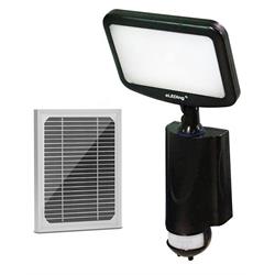Flood Lights