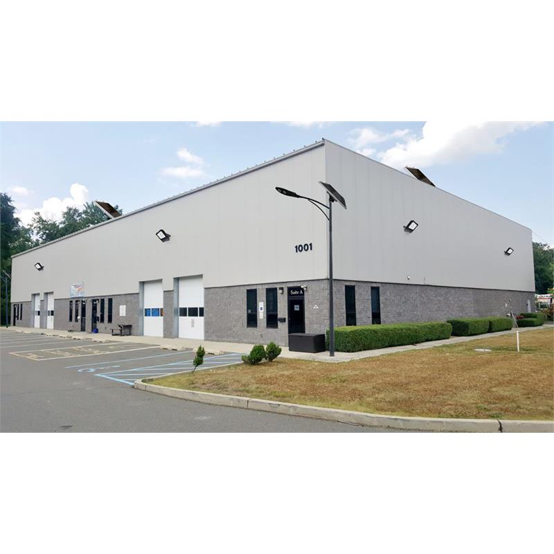 eLEDing 100W Solar Panel and 60W Cobra Head Light Solar Power SMART in Silver