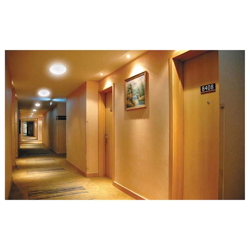 eSenLite Invisible Motion Activated Ceiling/Wall SMART LED Light in Pure White