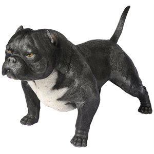 petorma american bully exotic resin statue 1:1 real size