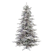 Vickerman 78