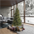 Vickerman 78x47