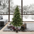 Vickerman 78x53