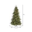 Vickerman 90x54