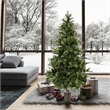 Vickerman 90x63
