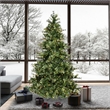 Vickerman 108x61
