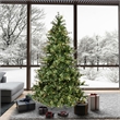 Vickerman 108x61