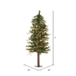 Vickerman 60