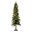 Vickerman 72