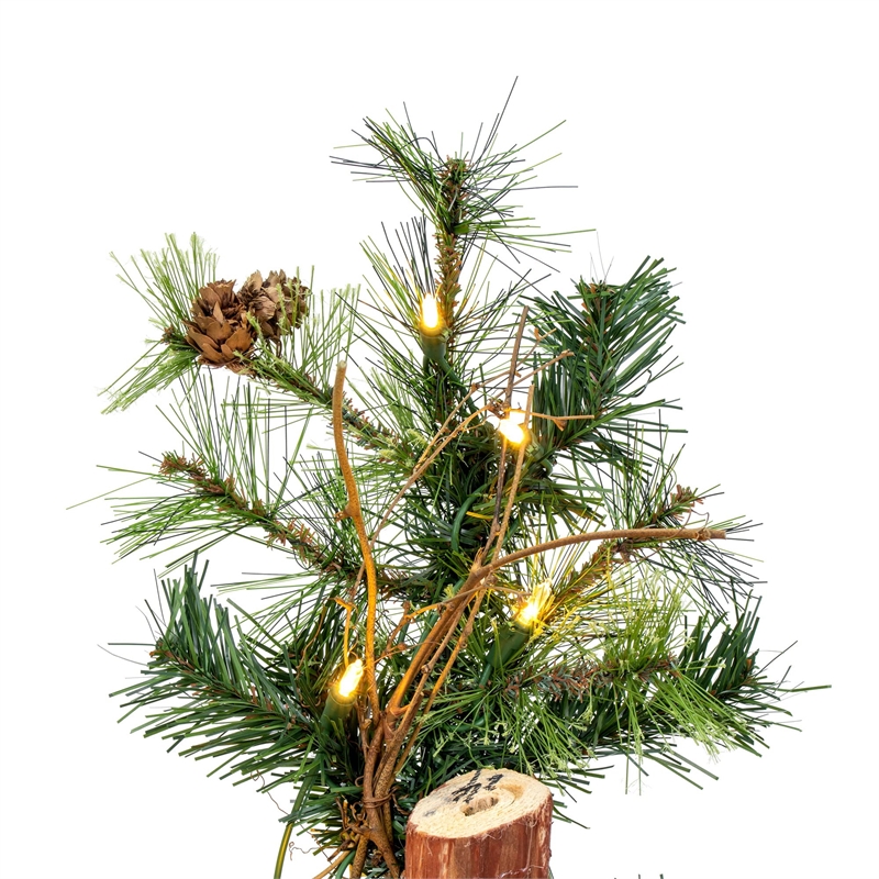 Vickerman 72