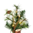 Vickerman 72