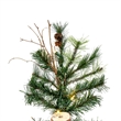 Vickerman 44