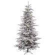 Vickerman 66