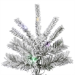 Vickerman 66