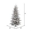 Vickerman 66