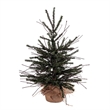 Vickerman 18x12