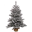 Vickerman 36