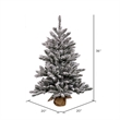 Vickerman 36