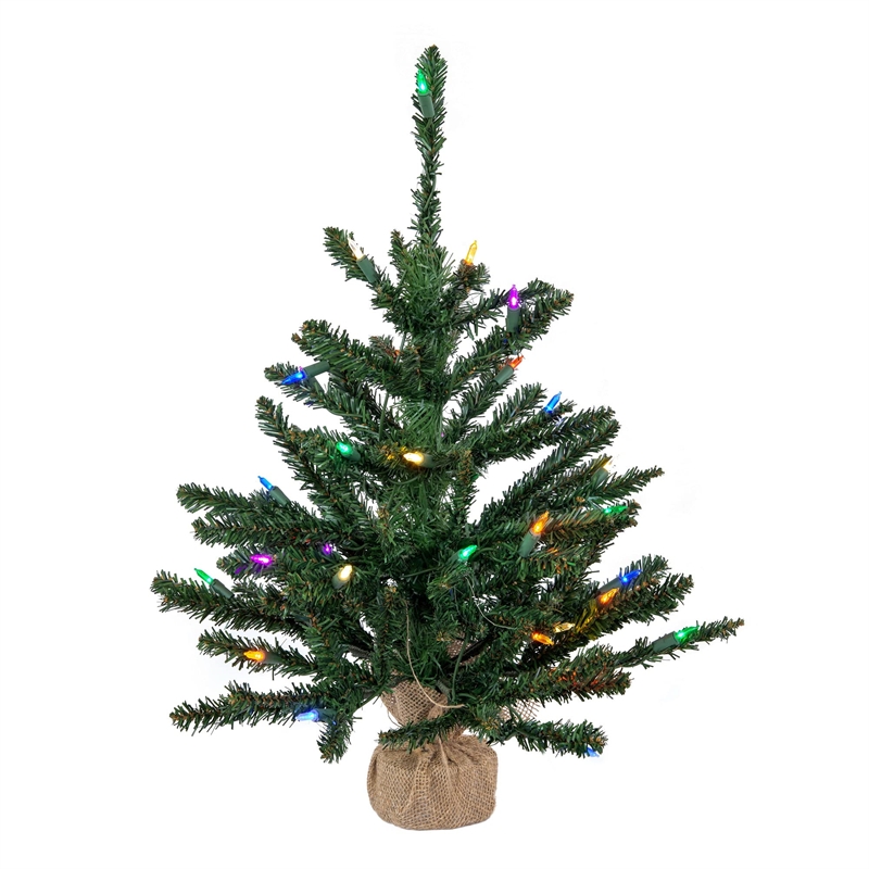 Vickerman 24