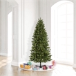 Vickerman 114