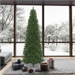 Vickerman 102