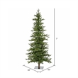 Vickerman 84