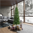 Vickerman 78