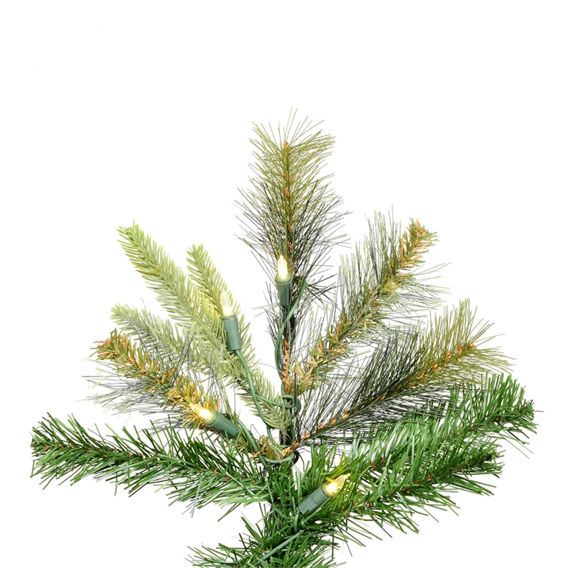 Vickerman 102