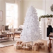 Vickerman 102